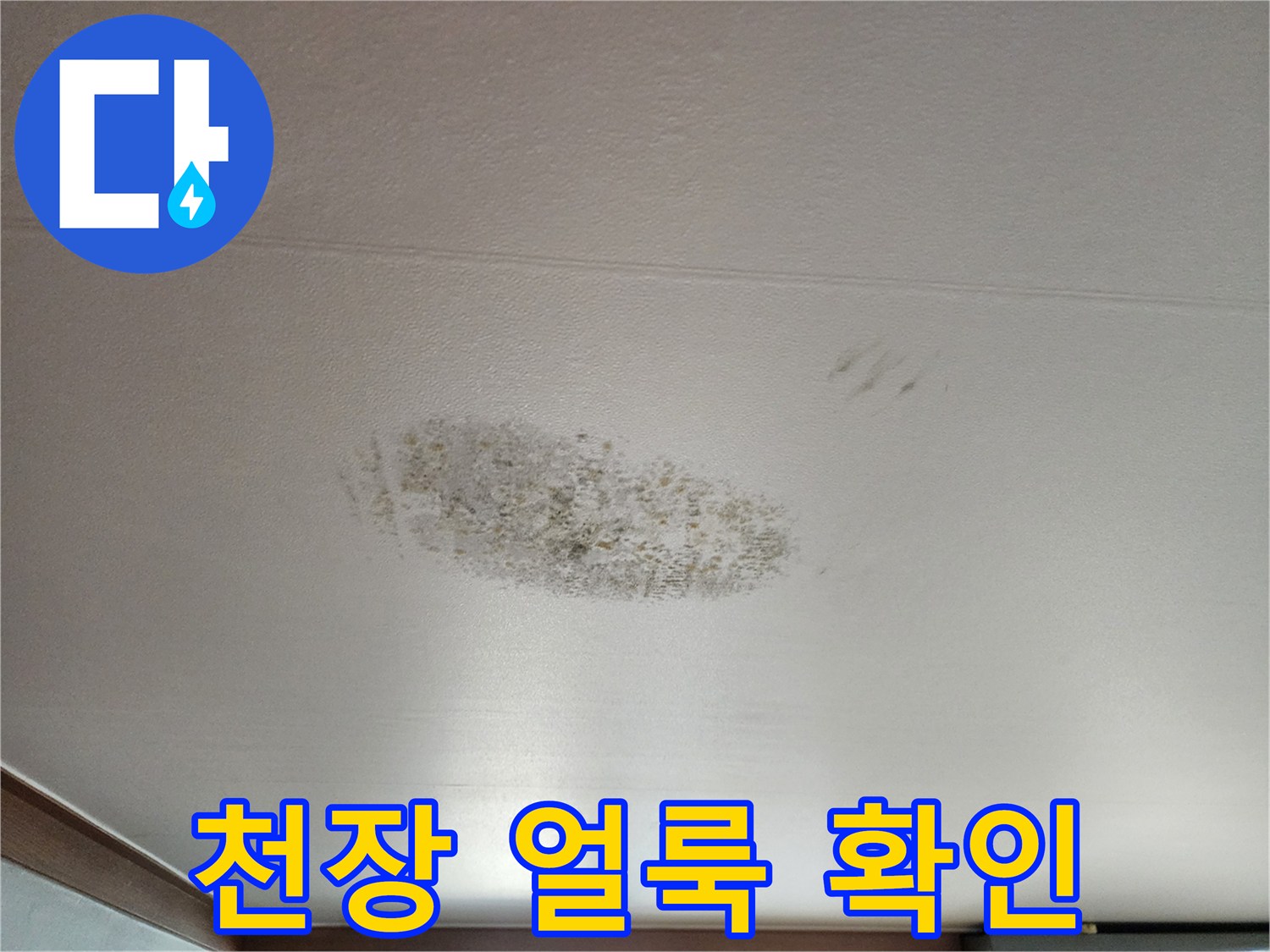 천장 벽지에 나타난 불규칙한 모양의 누수 오염