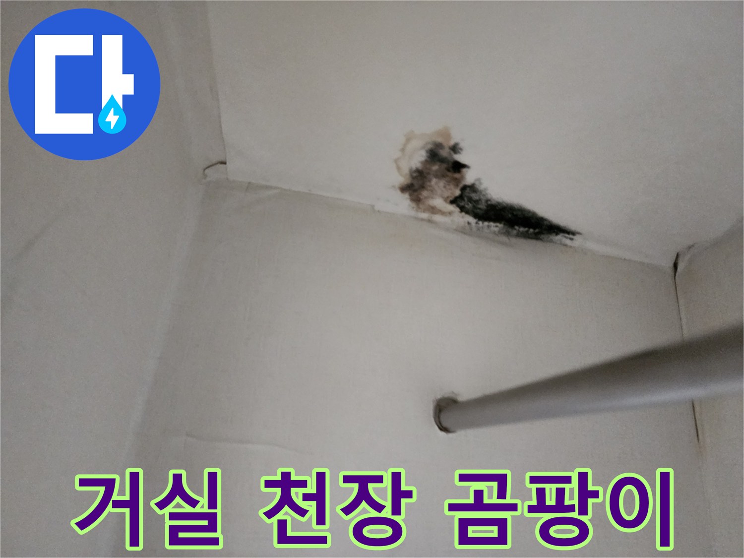 누수 피해 현장-천장 마감재에 퍼진 곰팡이와 습기 흔적