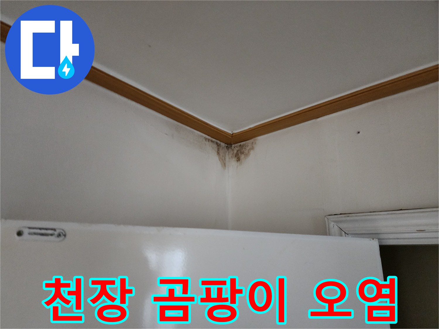 벽면 상단 모서리 부분의 짙은 곰팡이와 변색된 벽지