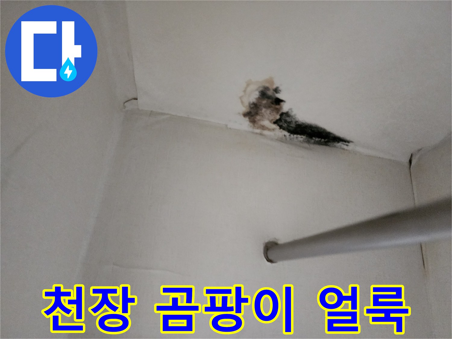 아랫집 거실 천장에 발생한 검은색 곰팡이와 변색된 부위