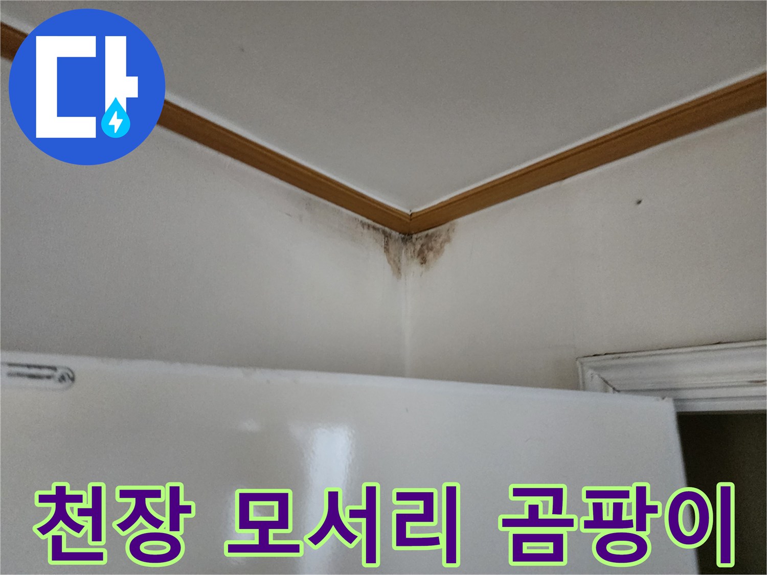 천장과 벽의 경계-곰팡이가 발생한 누수 부위