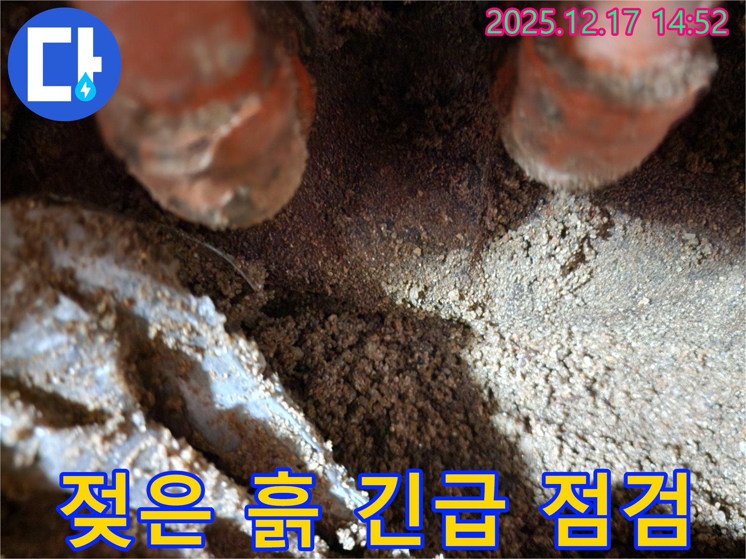 포천 영북면 대회리 누수 현장 - 젖은 흙, 누수 초기 증상인지 긴급하게 점검하고 있습니다.