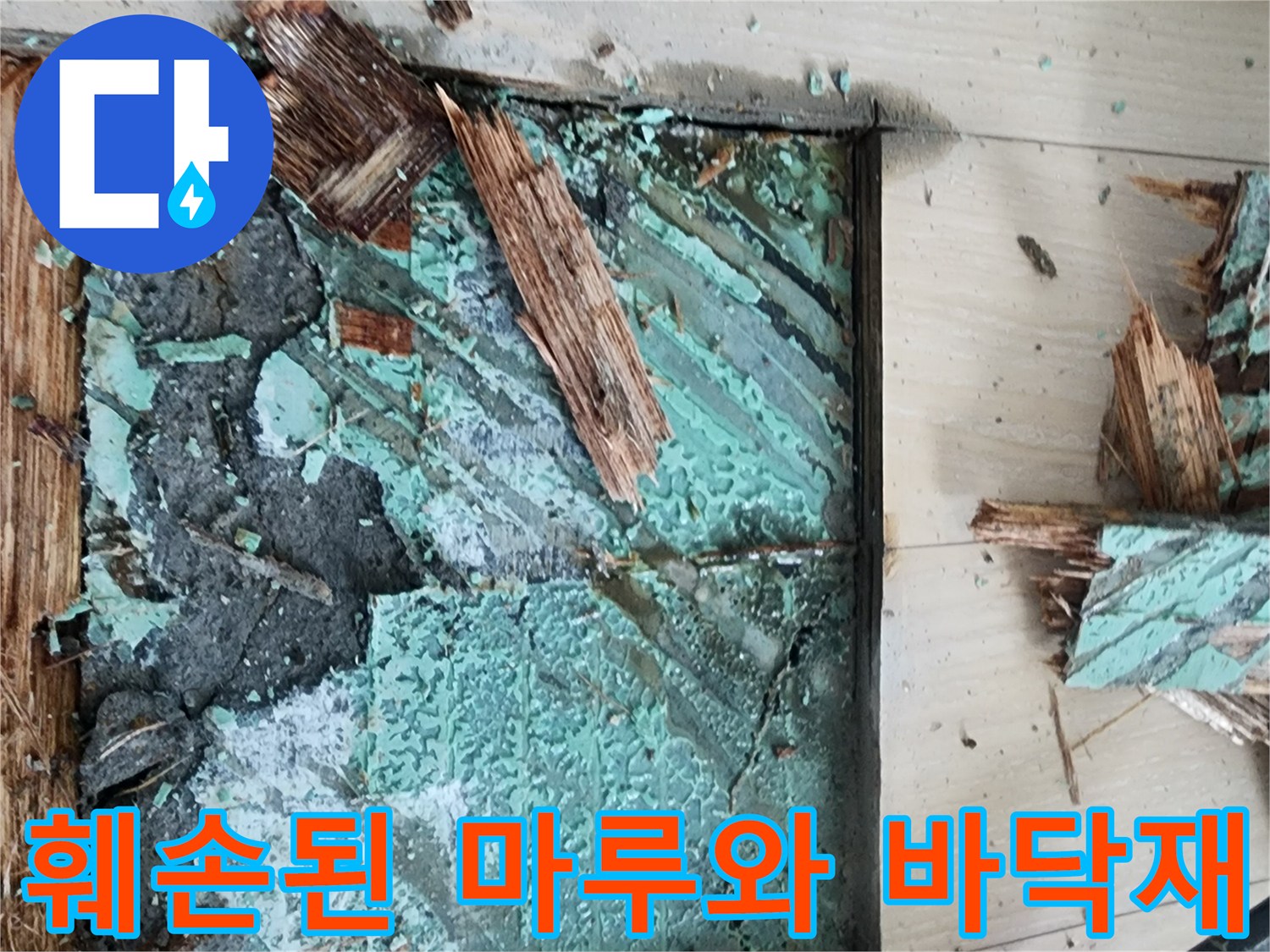 안산 고잔동 현장-배관 수리를 위해 제거된 마루 조각과 젖은 바닥