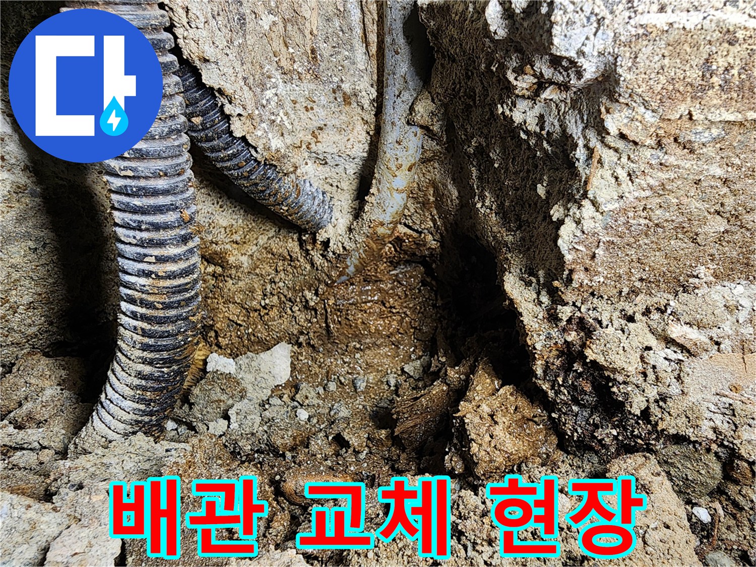 콘크리트 사이로 노출된 파손 배관