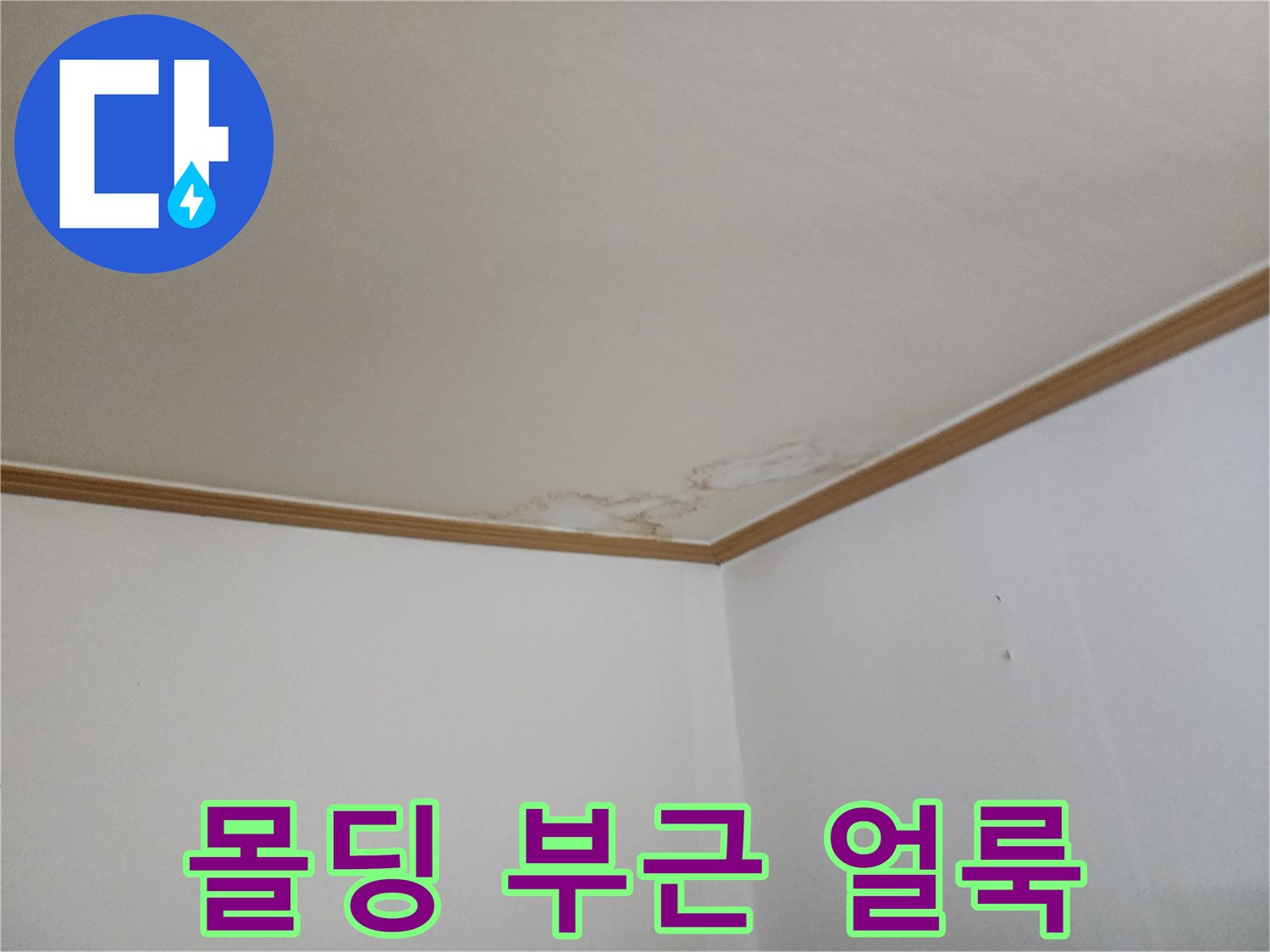 천장 몰딩 경계선에 나타난 젖은 물자국 현상