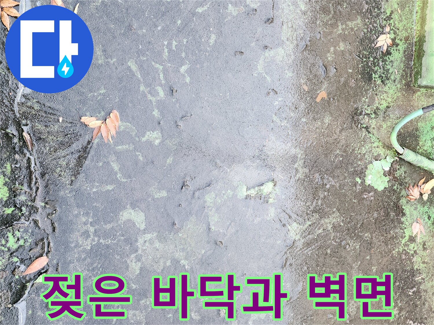 물샘으로 인해 젖어 있는 지면과 부식된 외벽의 모습