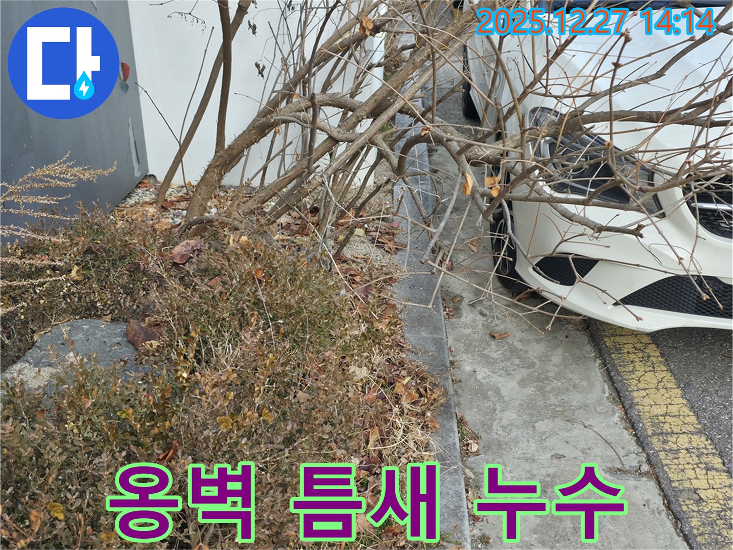 아파트 단지 콘크리트 옹벽 틈새 누수 - 꼼꼼한 점검과 완벽한 보수 작업으로 누수 문제를 깔끔하게 해결했습니다.
