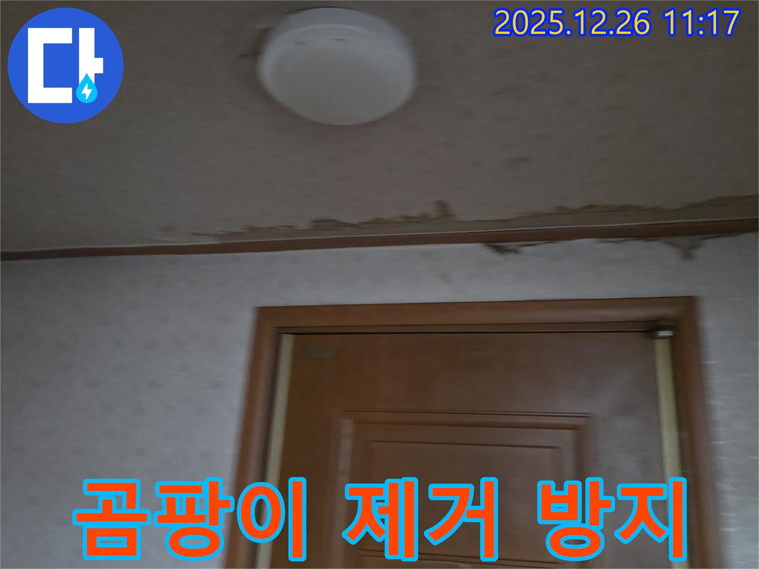 일산 백석동 아파트 천장 누수 - 곰팡이 제거 및 방지 작업을 통해 쾌적한 환경을 만들어 드립니다.