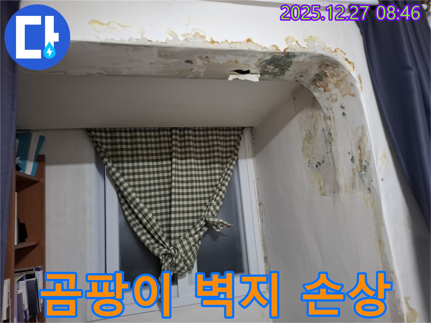 송파구 삼전동 - 곰팡이 발생 및 벽지 손상으로 인한 누수 의심