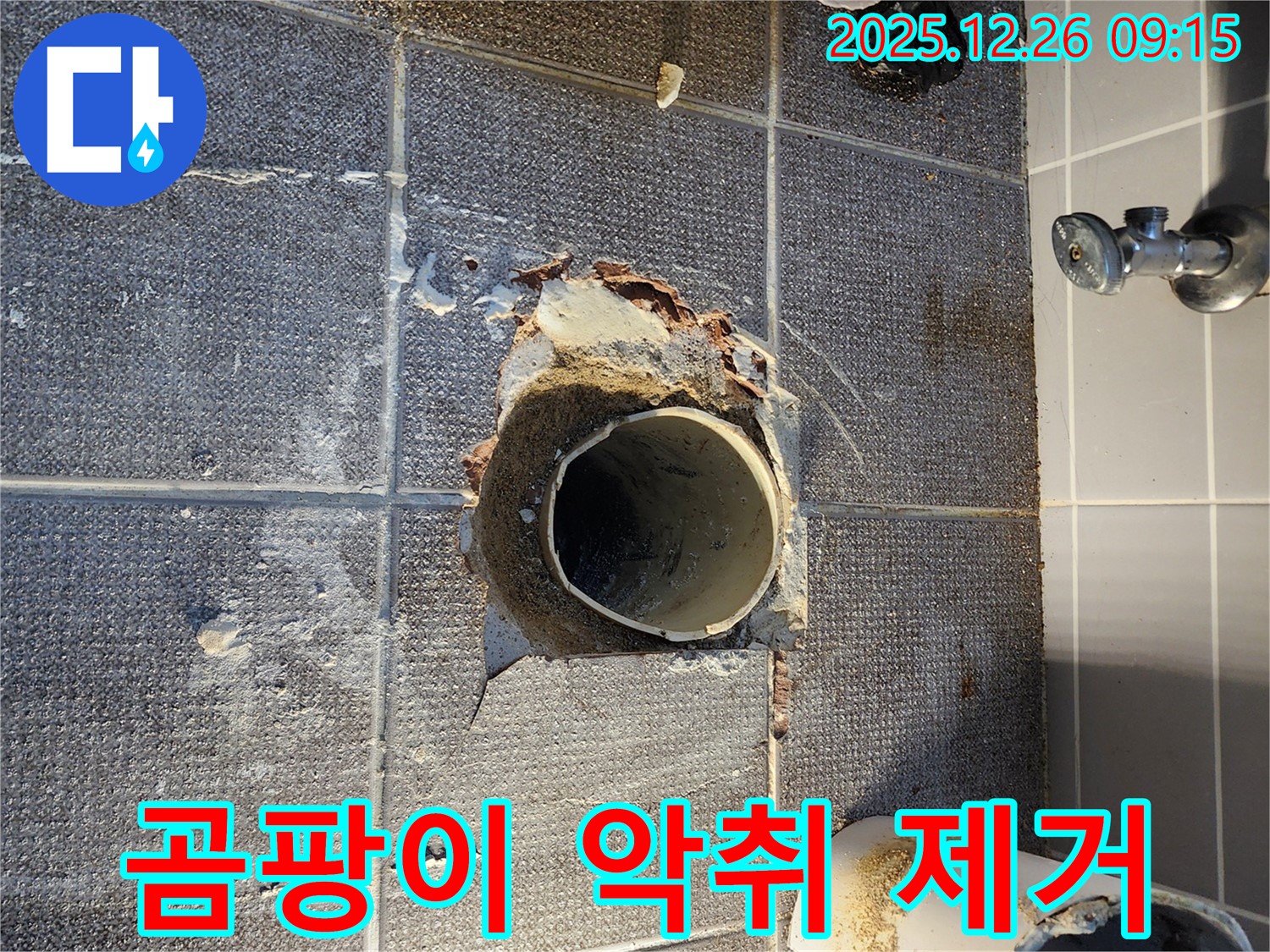상계1동 욕실 누수 - 배수관 주변 곰팡이 발생 및 악취 제거 작업