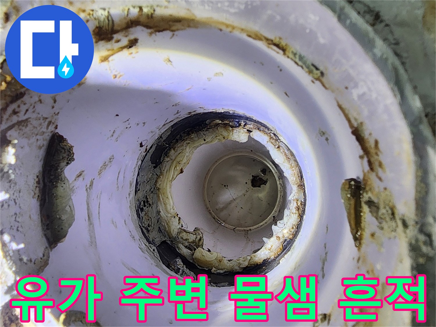 하수구 배관 입구의 습기 및 오염된 상태