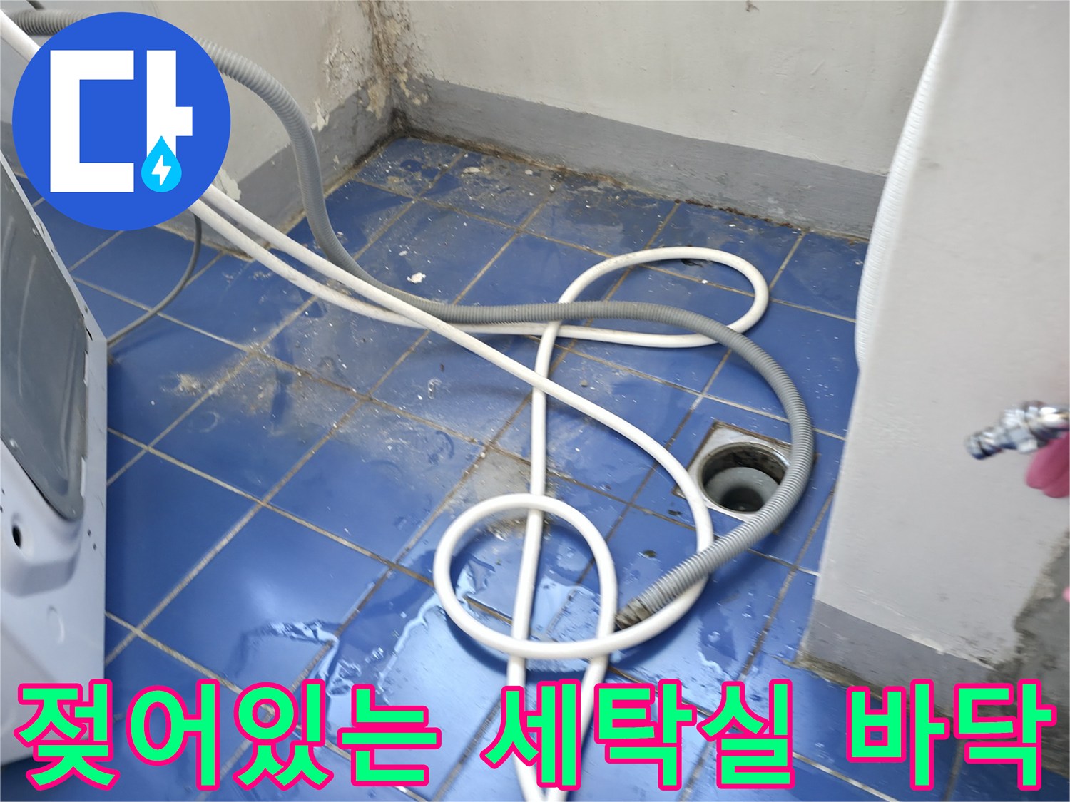 성동구 아파트 세탁실-배수구 주변의 젖은 타일 사진