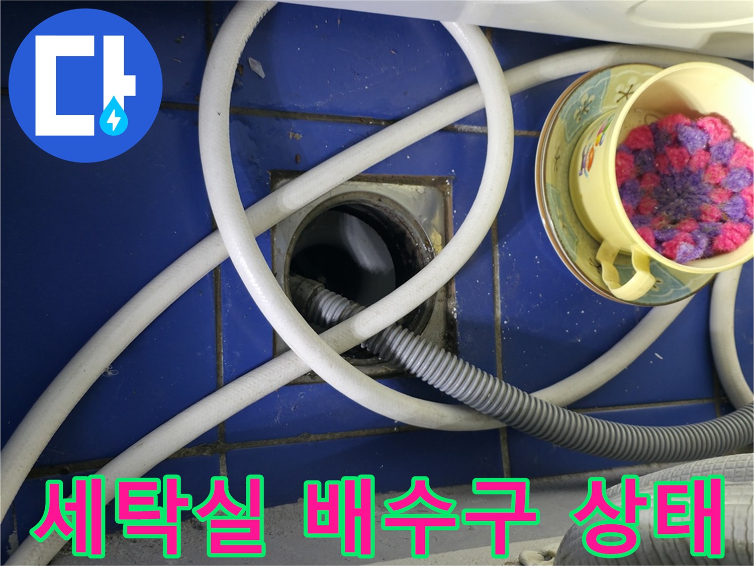 성동구 아파트-세탁실 하수구 배수구 주변 점검 사진
