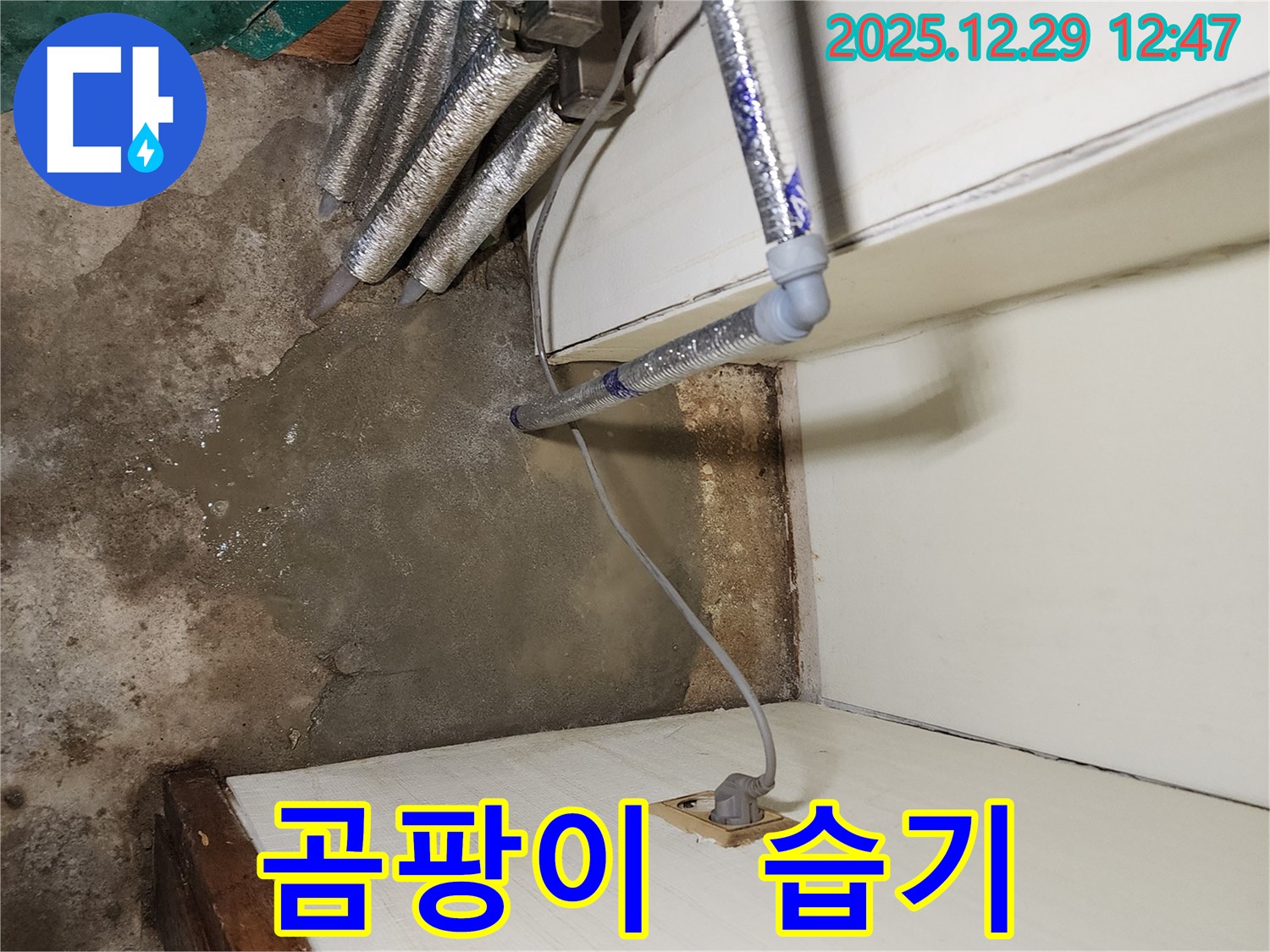 노원구 상계2동 - 곰팡이와 습기, 숨겨진 누수