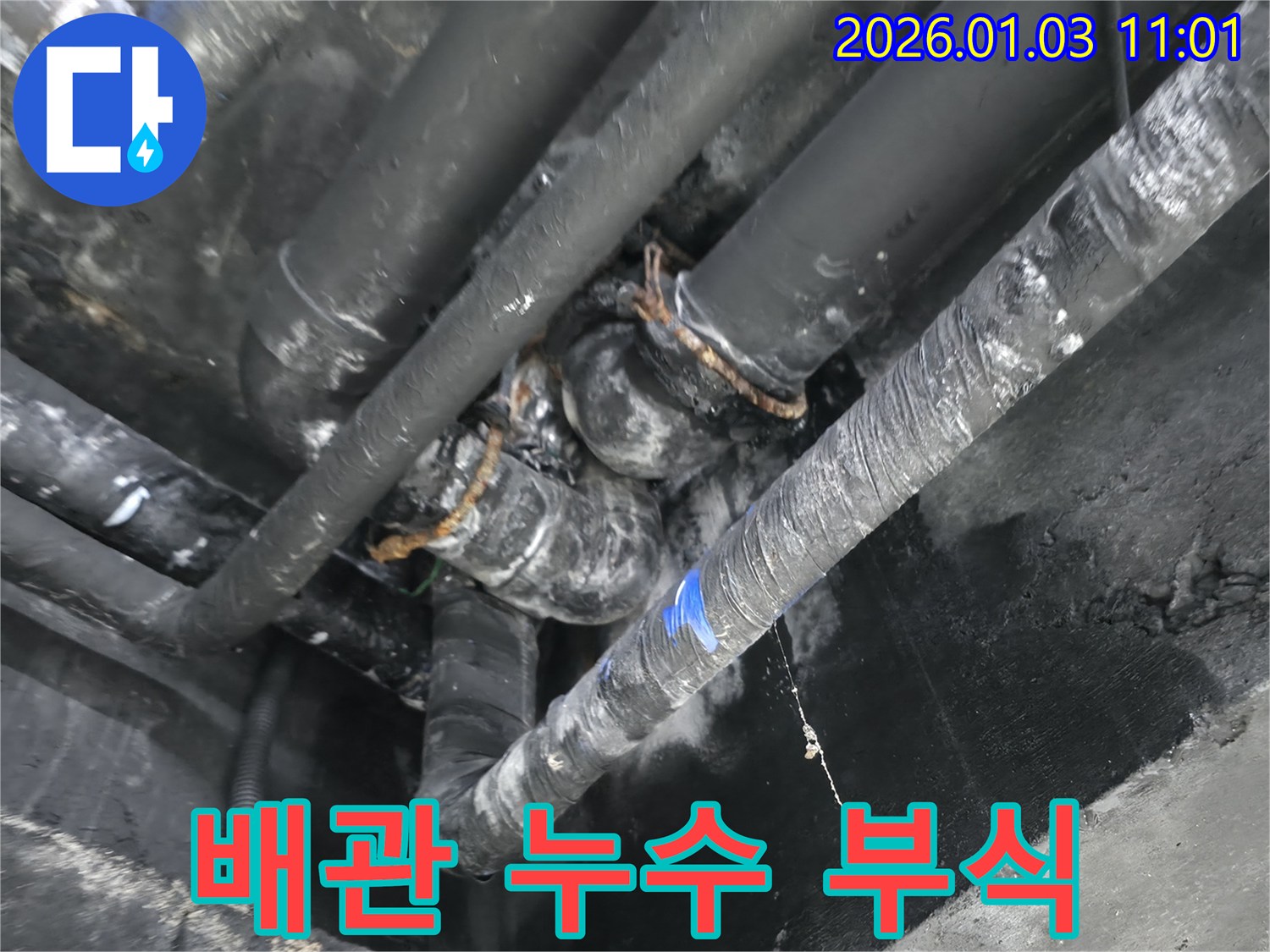 용인 수지구 풍덕천동에서 발생한 배관 누수 - 부식된 배관에서 누수가 진행되고 있는 모습