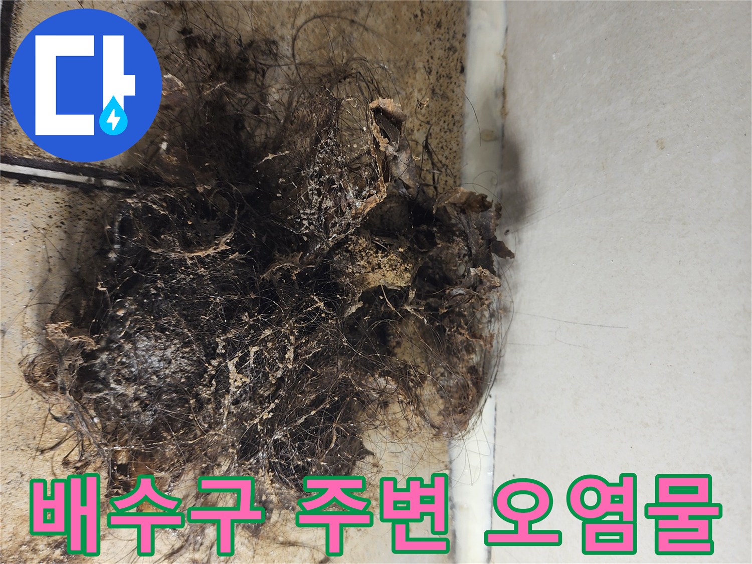 머리카락과 찌꺼기가 뭉쳐 배수구를 막고 있는 모습