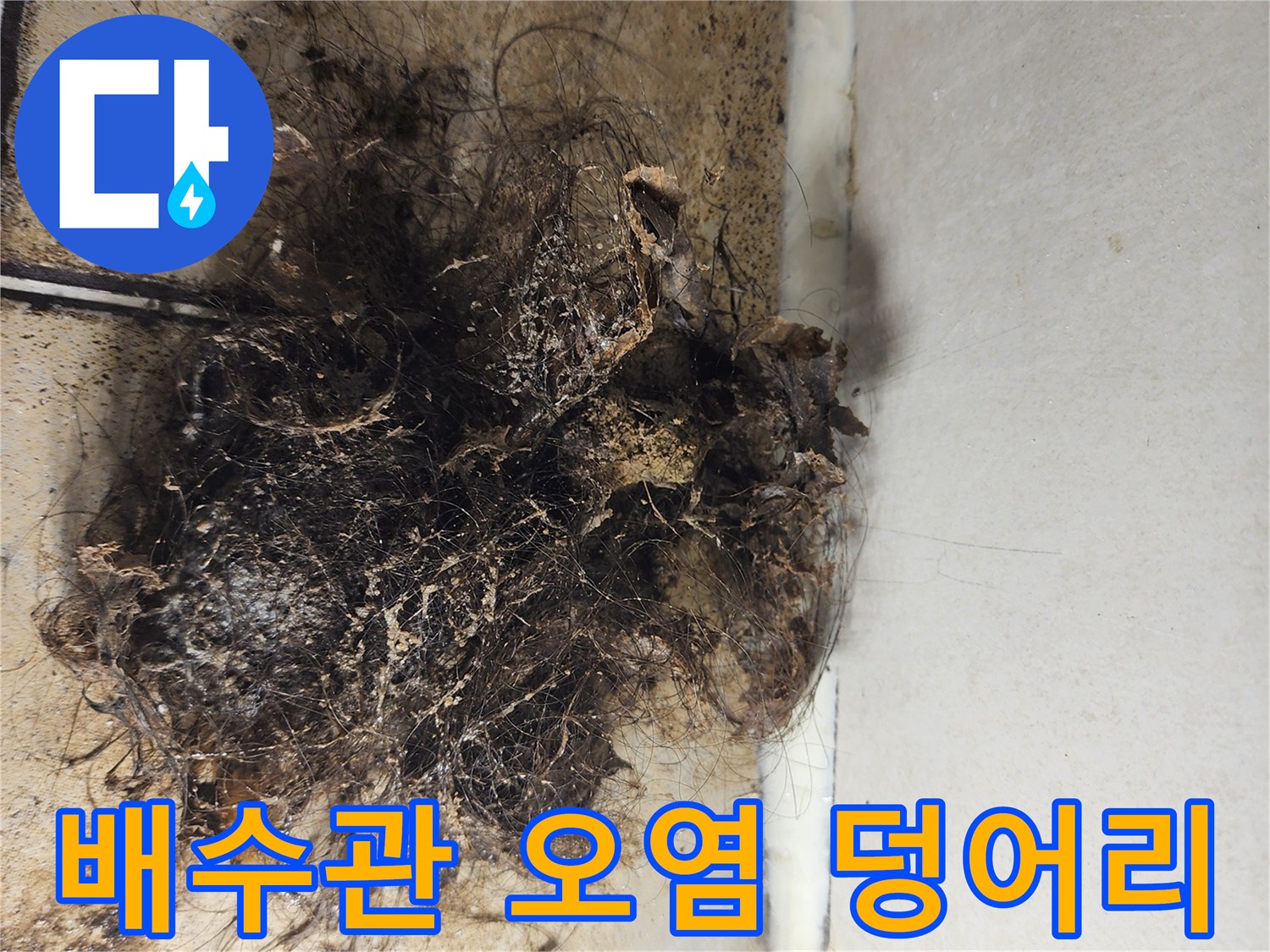 머리카락과 찌꺼기가 뭉쳐있는 배수구 상태