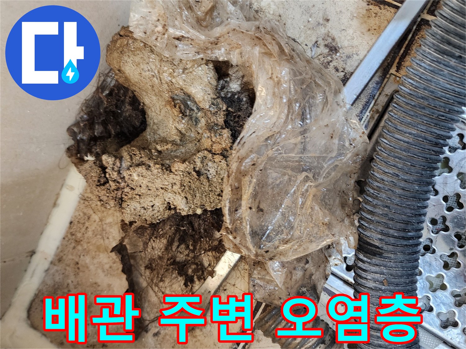 배관-틈새에-낀-머리카락과-이물질-뭉치