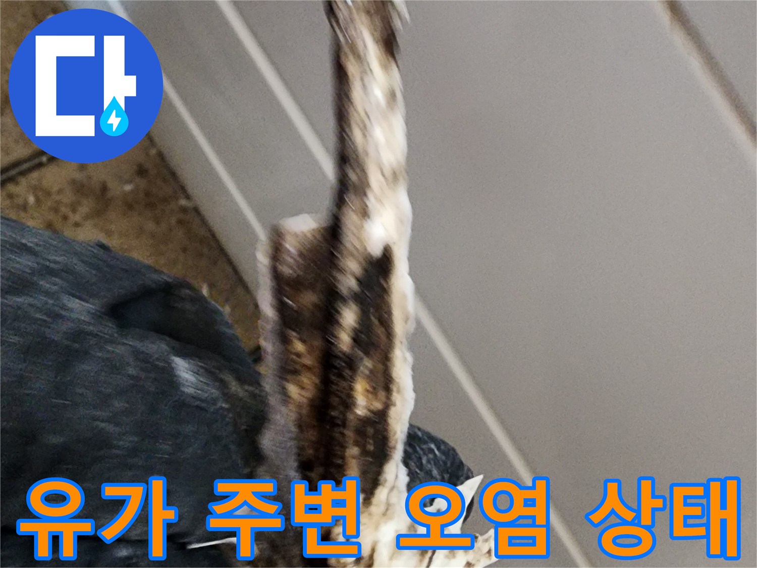 배수구-유가-틈새의-이물질과-오윤된-상태를-포착한-사진