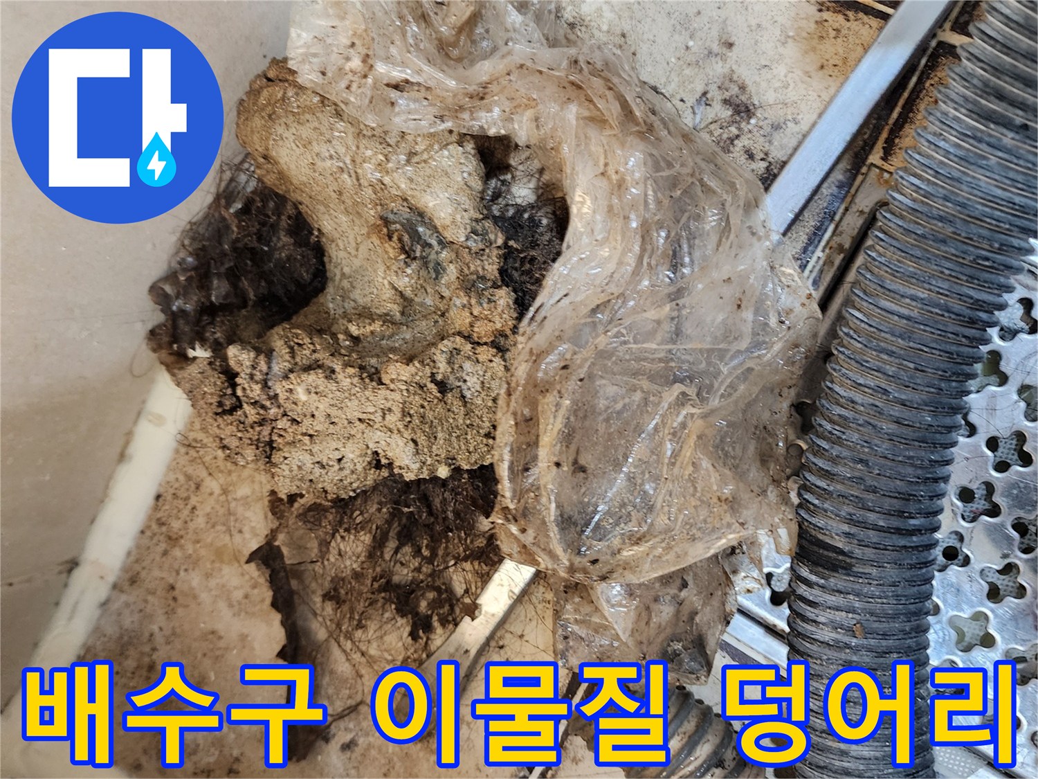 배수구 주변에 쌓인 오염된 이물질 덩어리 상태