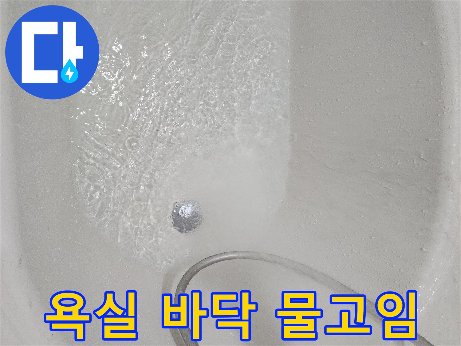 일산동구 화장실-배수구 주변 누수 지점 정밀 진단