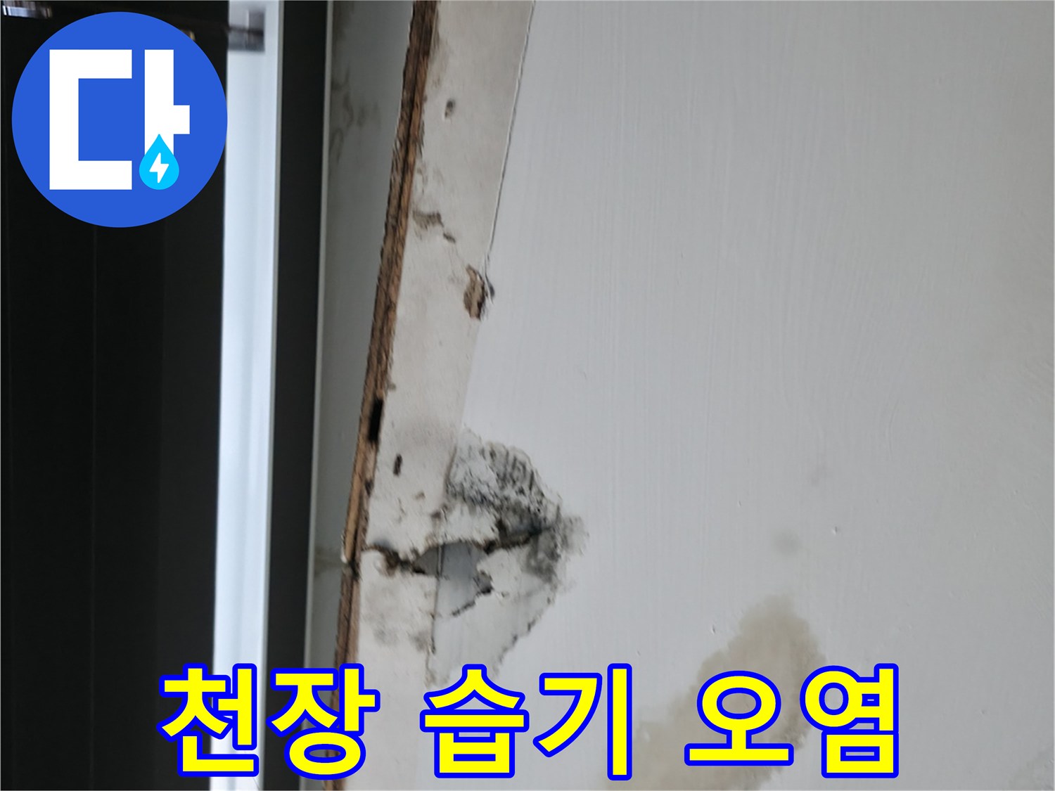 누수로 인한-천장 곰팡이 및 얼룩 부위