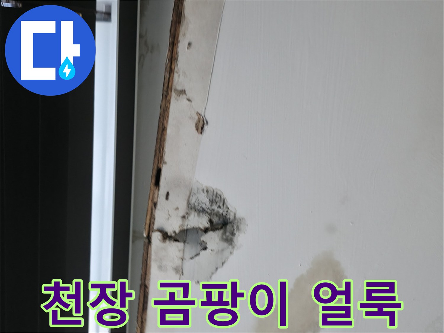 물샘 흔적으로 인한-천장 곰팡이 발생 상태