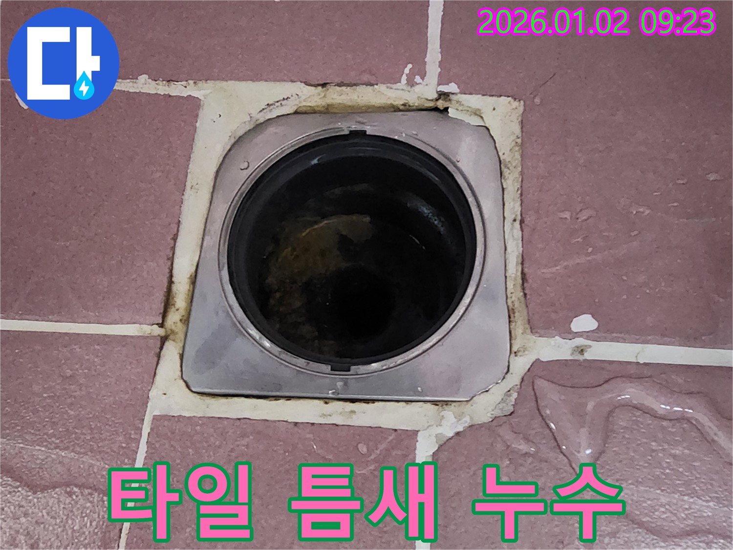 노원구 상계9동 욕실 누수 - 배수구 주변 타일 틈새 누수 해결 과정