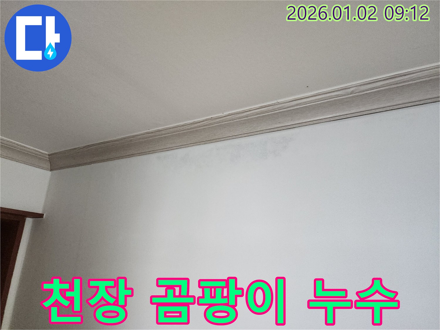 노원구 상계9동 천장 누수 - 곰팡이 발생 전 누수 해결