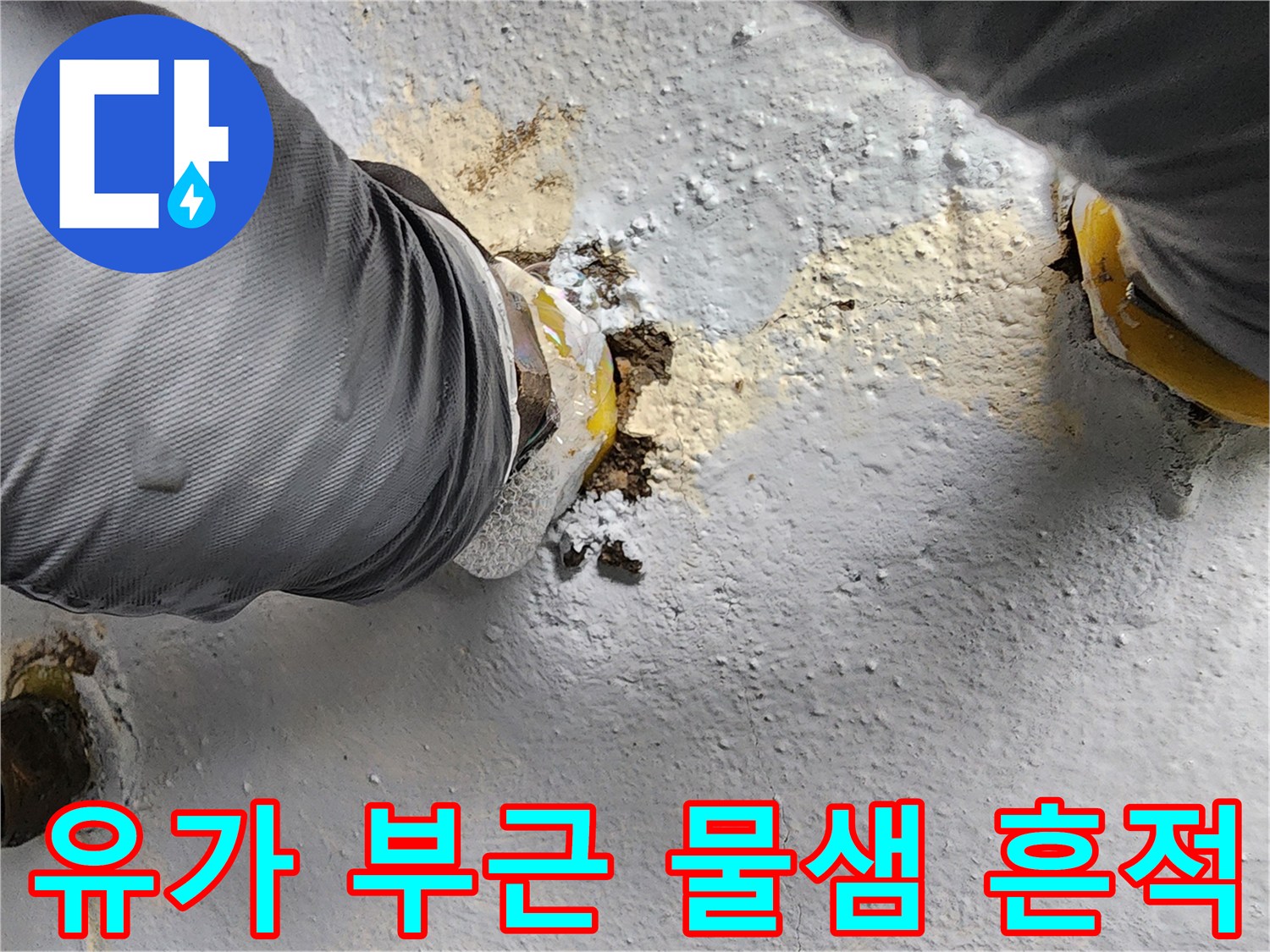 노원구 상계동-배수구 유가 주변의 침투된 물과 방수 결함