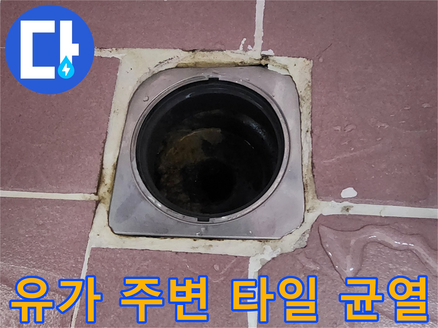 노원구-상계동-욕실-배수구-주변-누수-지점