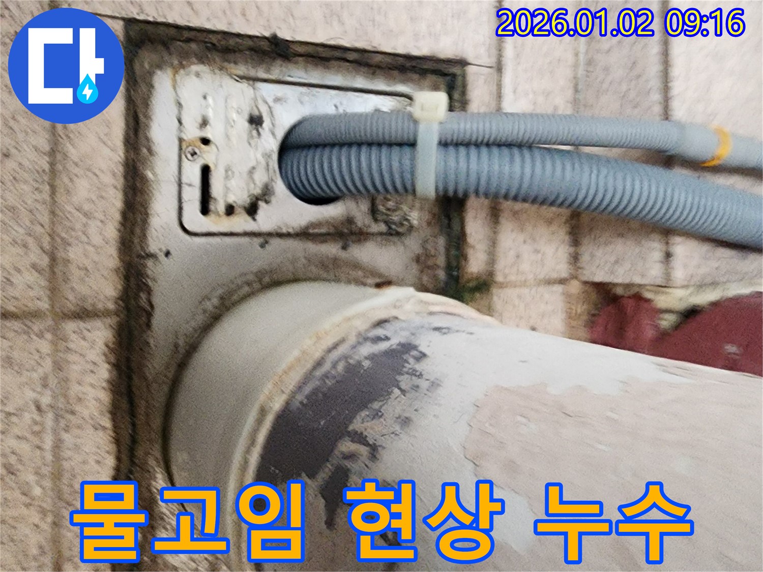 세탁기 배수구 주변 물고임 현상 - 배수구 주변에 물이 고여 있어 누수 여부를 확인하고 있습니다.