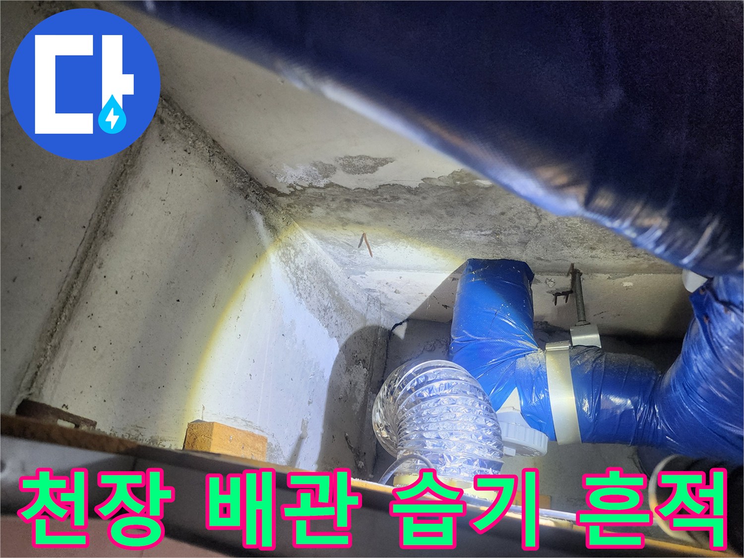 파란색 보온재로 마감된 배관과 젖은 천장 콘크리트 벽면