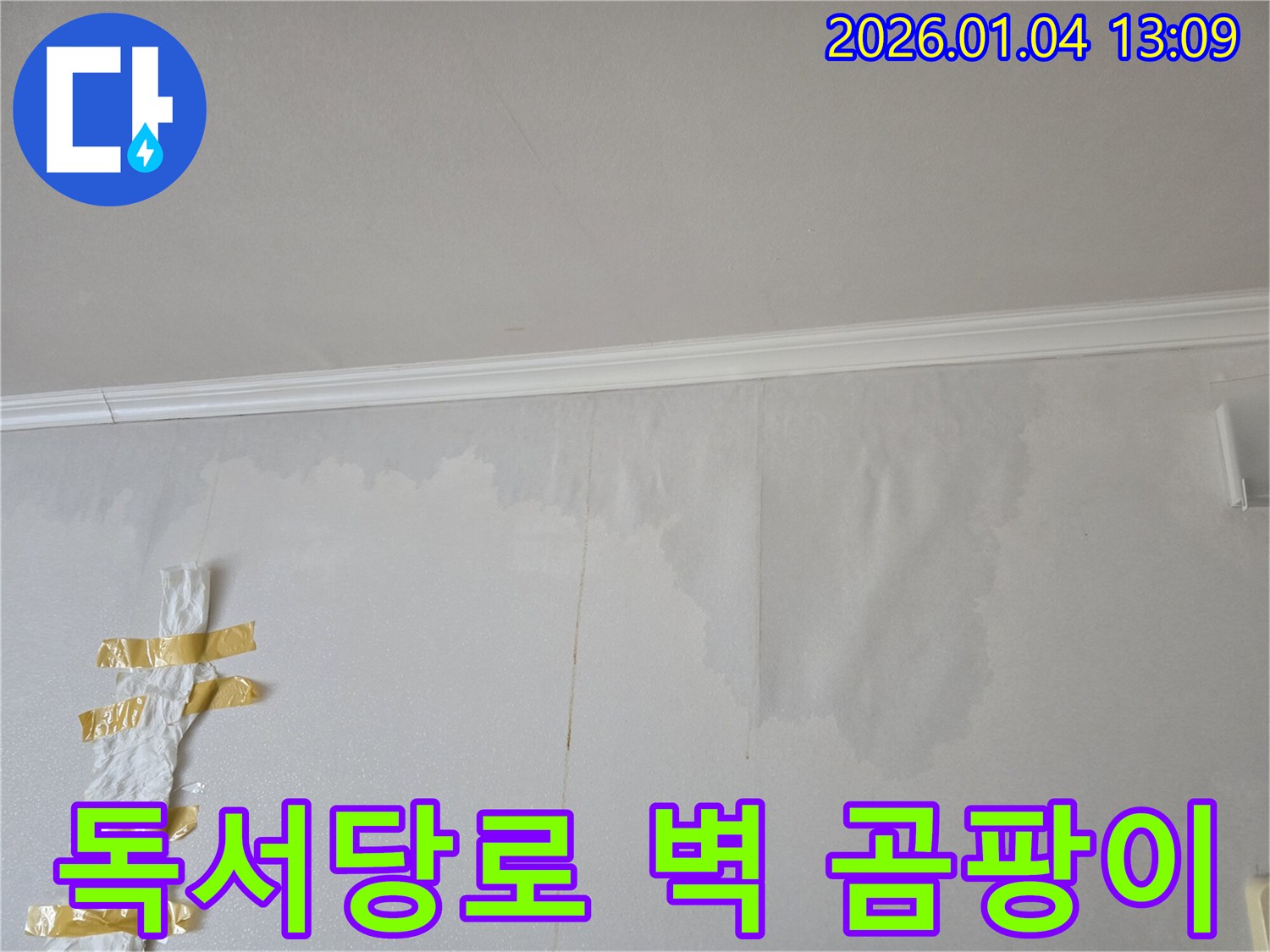 독서당로 다세대 주택 벽 곰팡이 누수 - 곰팡이 원인인 누수를 해결하고 쾌적한 주거 환경을 만들었습니다.