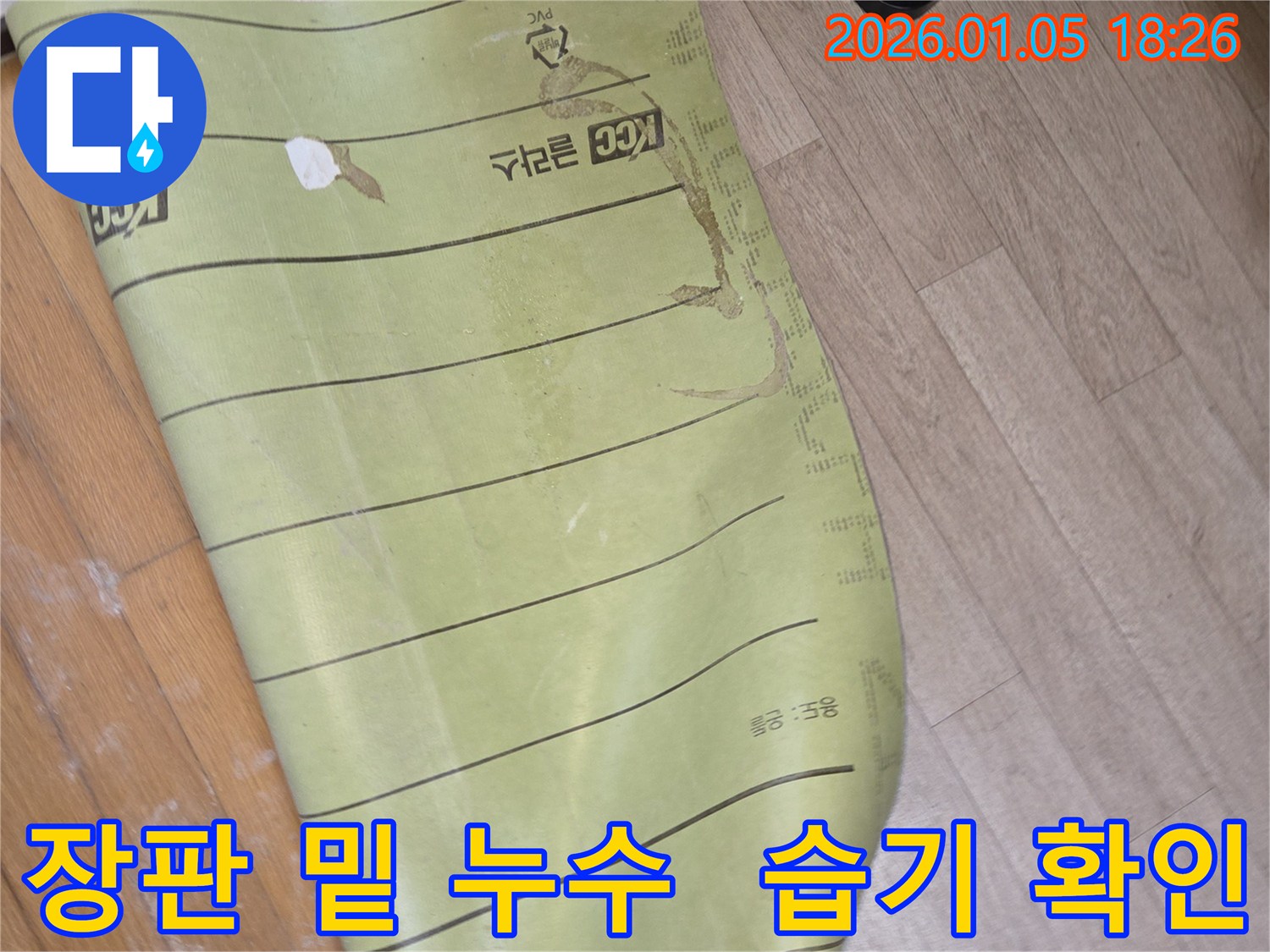 남양주 진건리 누수 - 장판 밑 습기를 확인하여 누수 여부를 진단하고 있습니다.