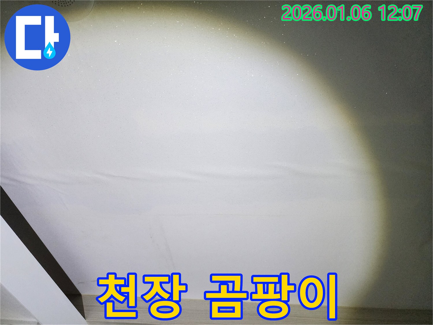 노원구 누수 - 천장에 곰팡이가 핀 모습입니다. 누수 해결 후 곰팡이 제거가 필요합니다.