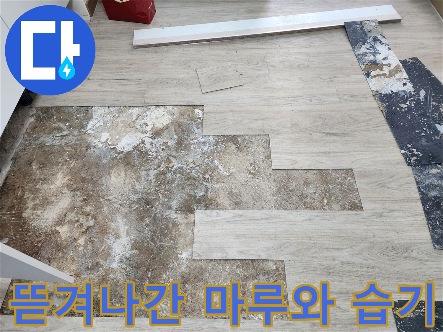 마루재를 제거하여 드러난 젖은 시멘트 면적
