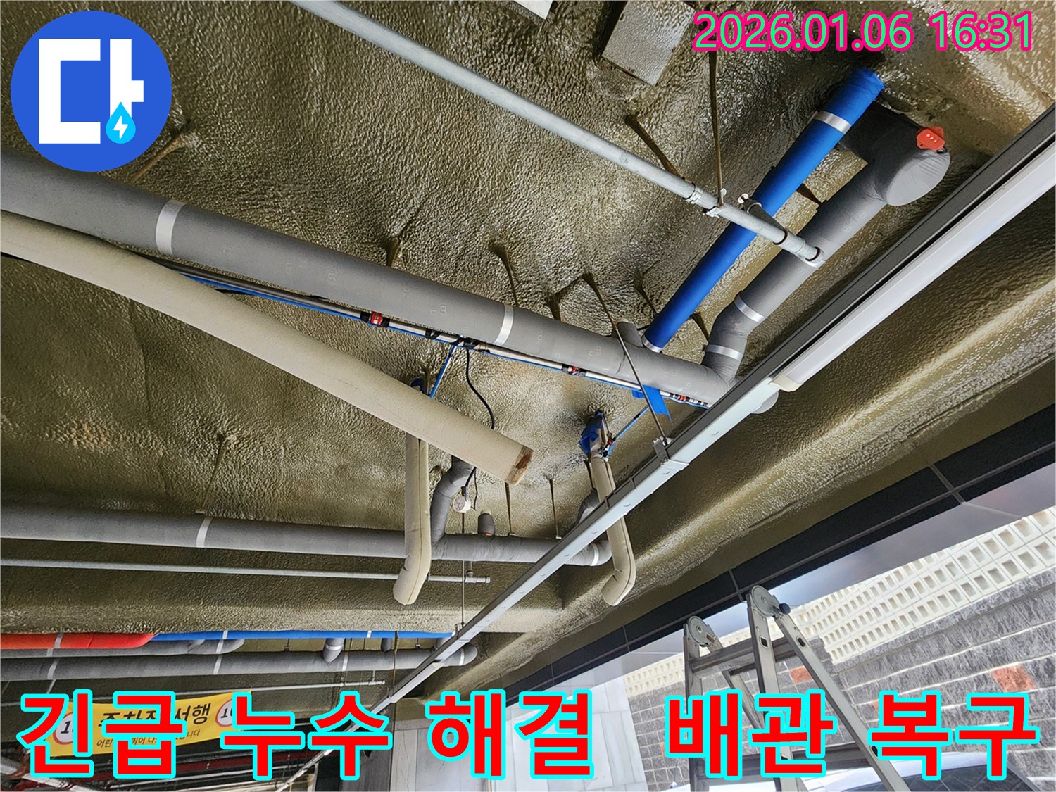 노원구 월계2동에서 발생한 긴급 천장 배관 누수를 - 신속하게 해결하고 완벽하게 복구하는 과정을 보여줍니다.