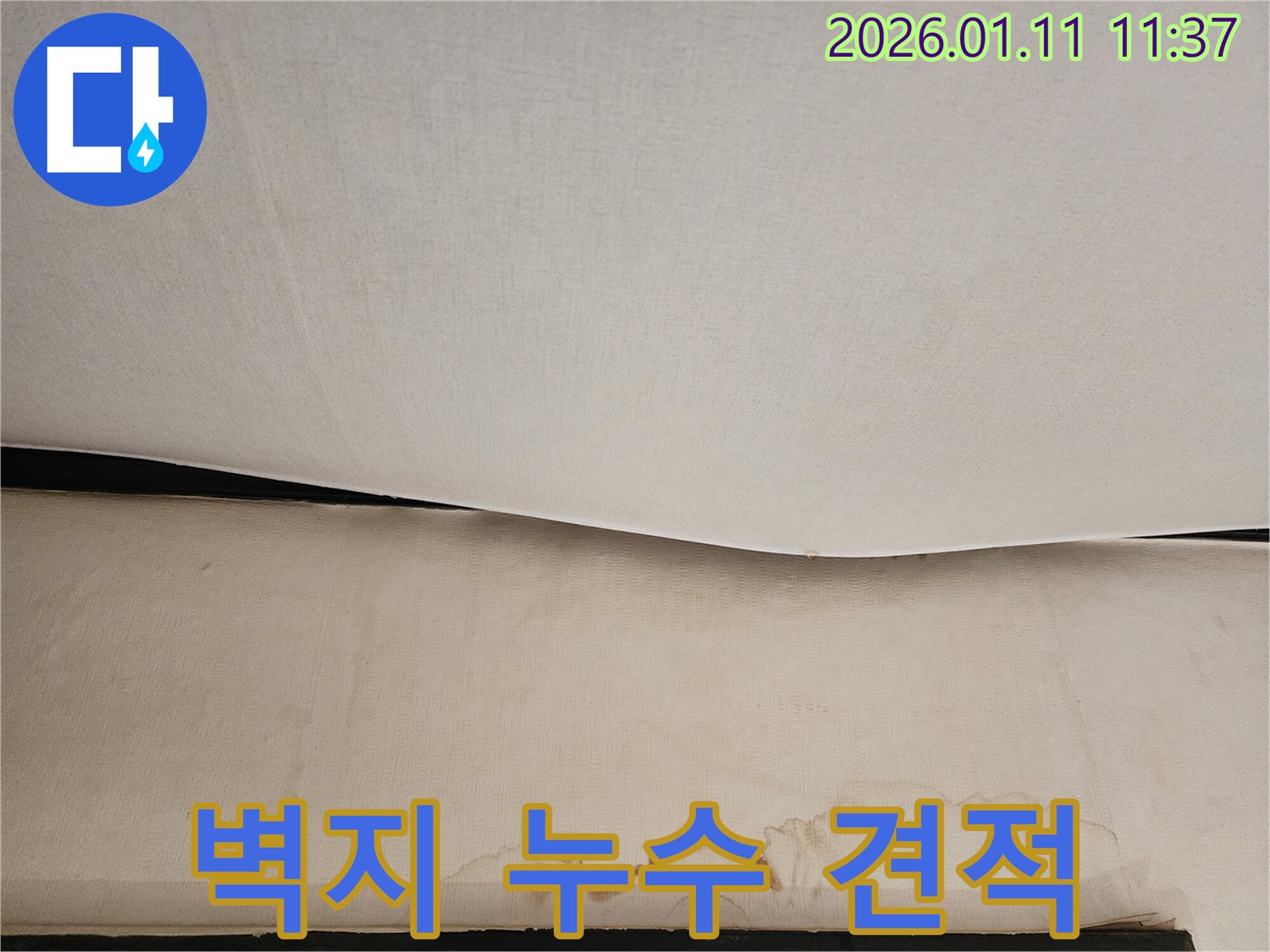 벽지 누수 견적 - 합리적인 비용으로 누수 문제 해결, 투명한 견적 제공합니다.