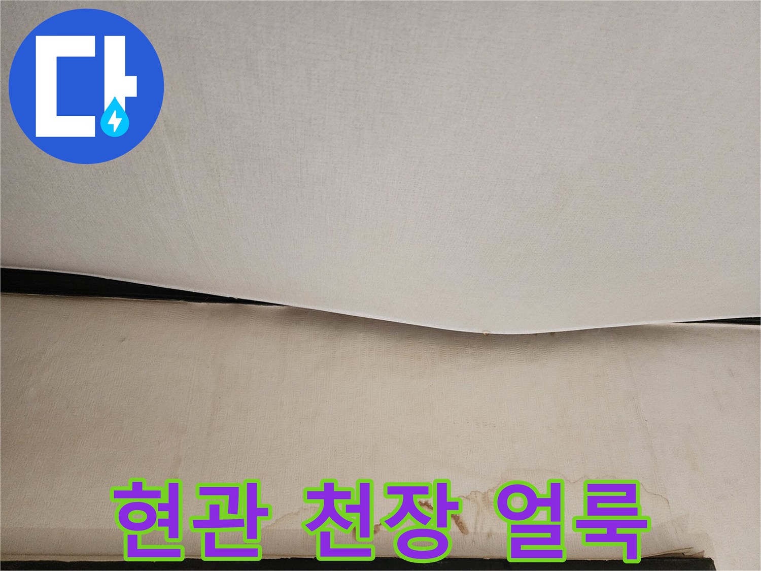 아랫집 현관 천장에 발생한 누수 흔적과 젖은 자국