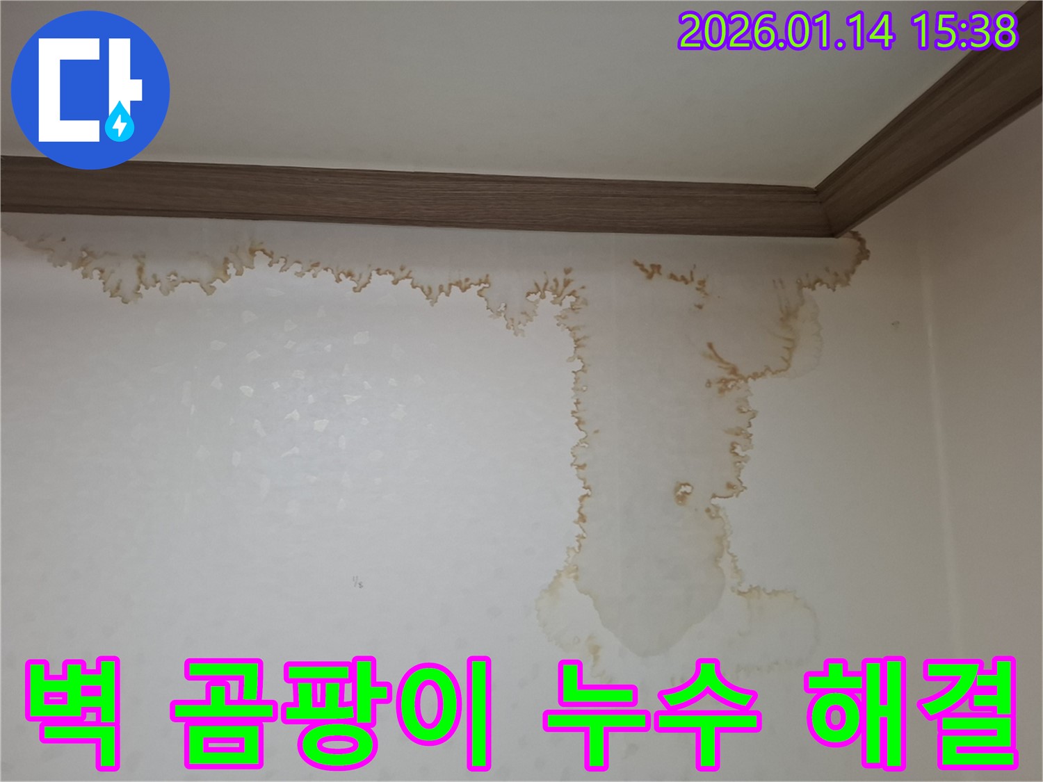 신천동 누수 - 벽 곰팡이와 누수 문제 원스톱으로 해결