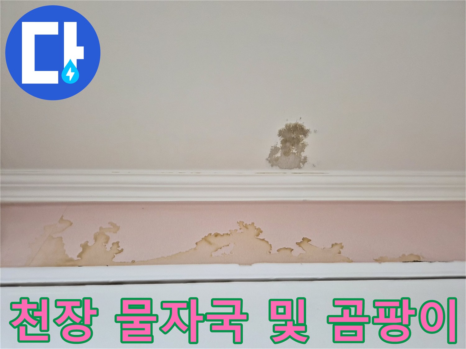 젖은 벽지와 곰팡이가 보이는-천장 아래쪽 상황