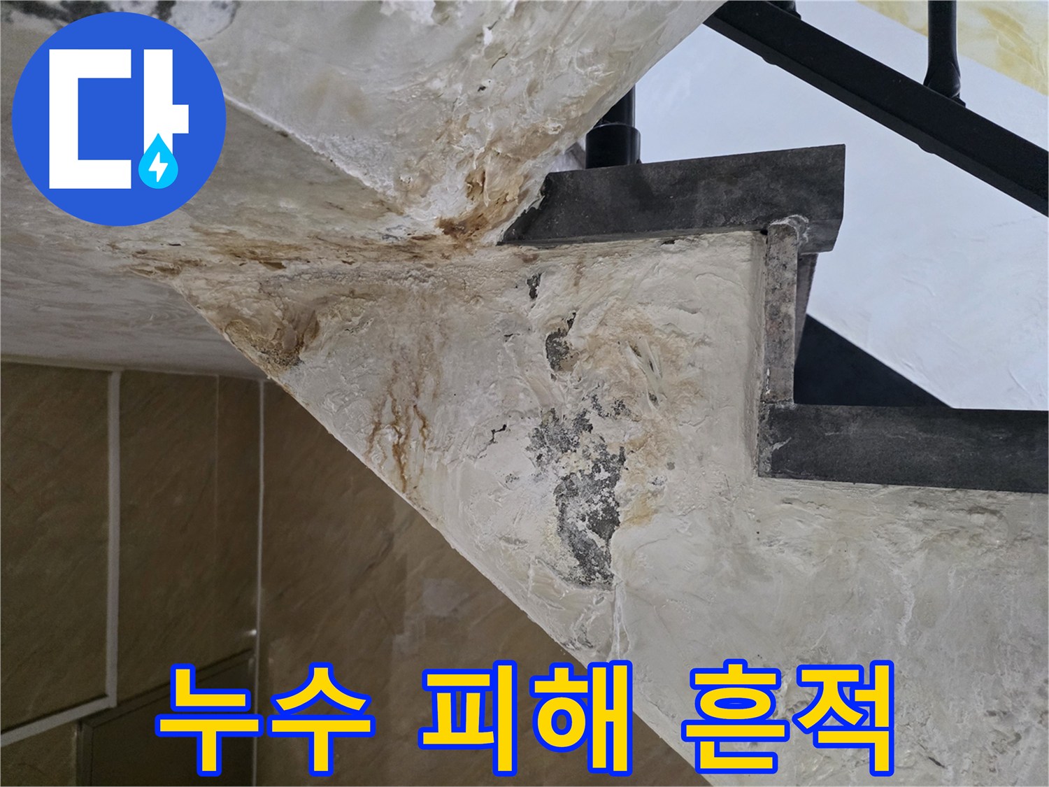 천장-구조물-사이의-습기-침투와-변색된-콘크리트