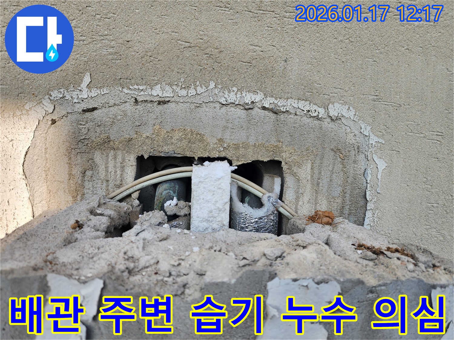 문산 누수탐지 현장 - 배관 주변 습기로 누수 의심