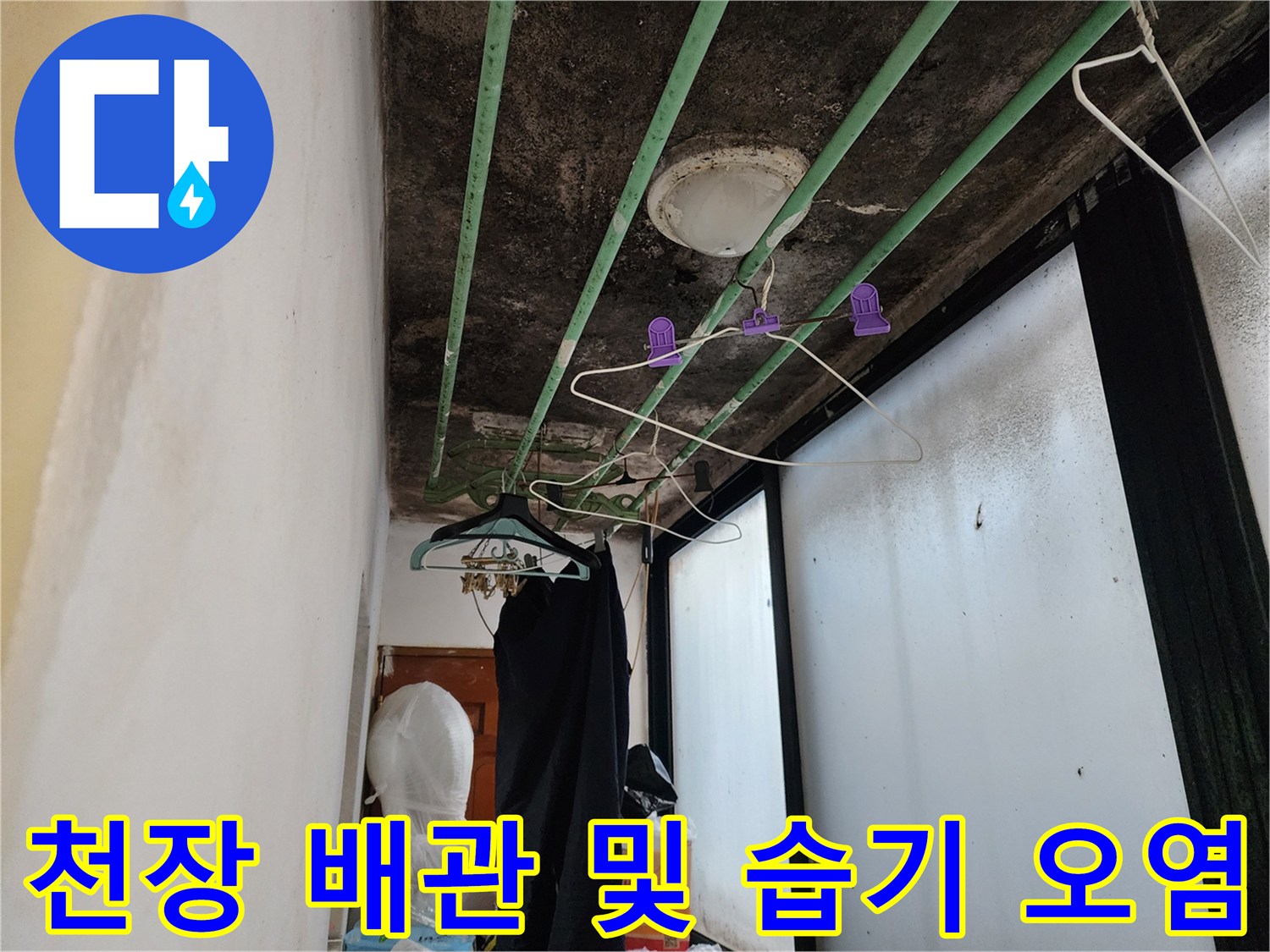 곰팡이와 습기가 발견된 화장실 천장 내부 전경