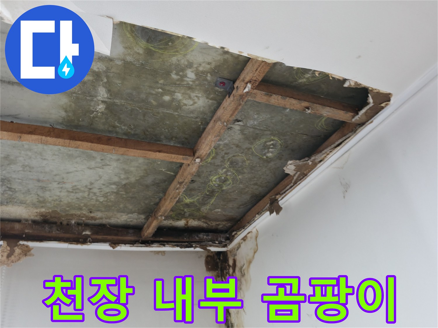 습기로 인해 변색되고 곰팡이가 생긴 천장 안쪽