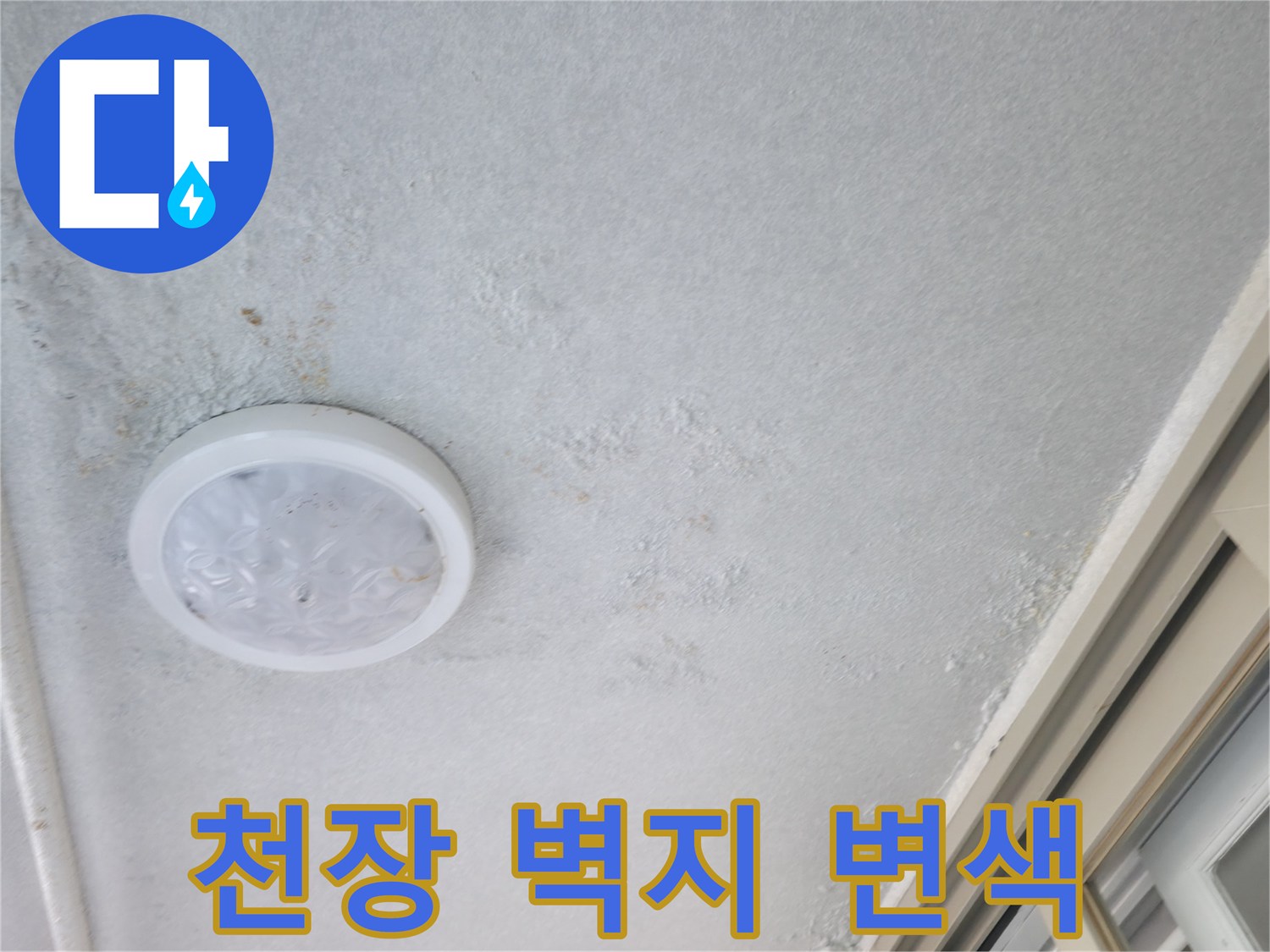 천장 조명 주변-물에 젖어 발생한 벽지 변색 부위