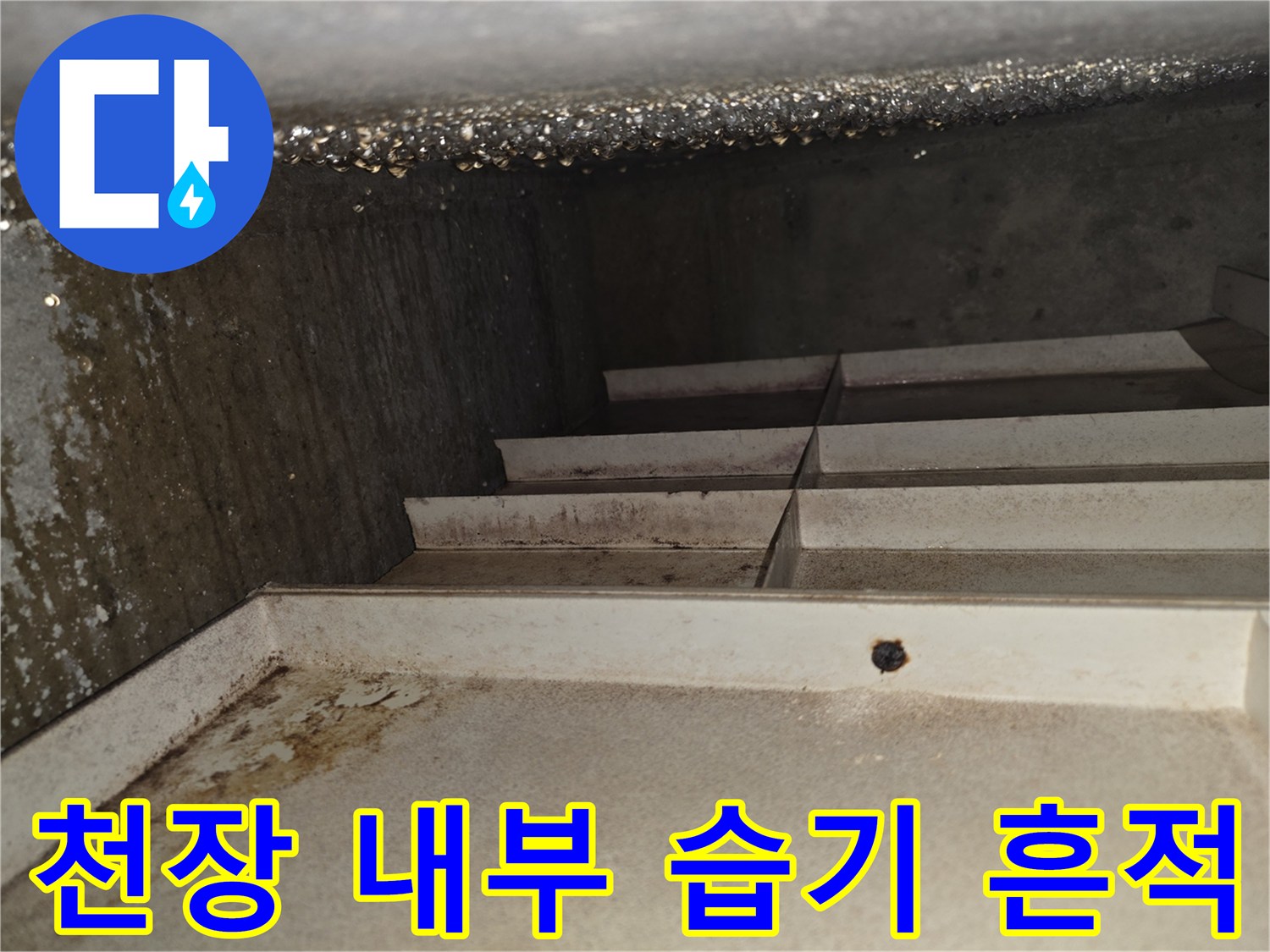 상록구 현장의 젖어 있는 천장 구조물 모습