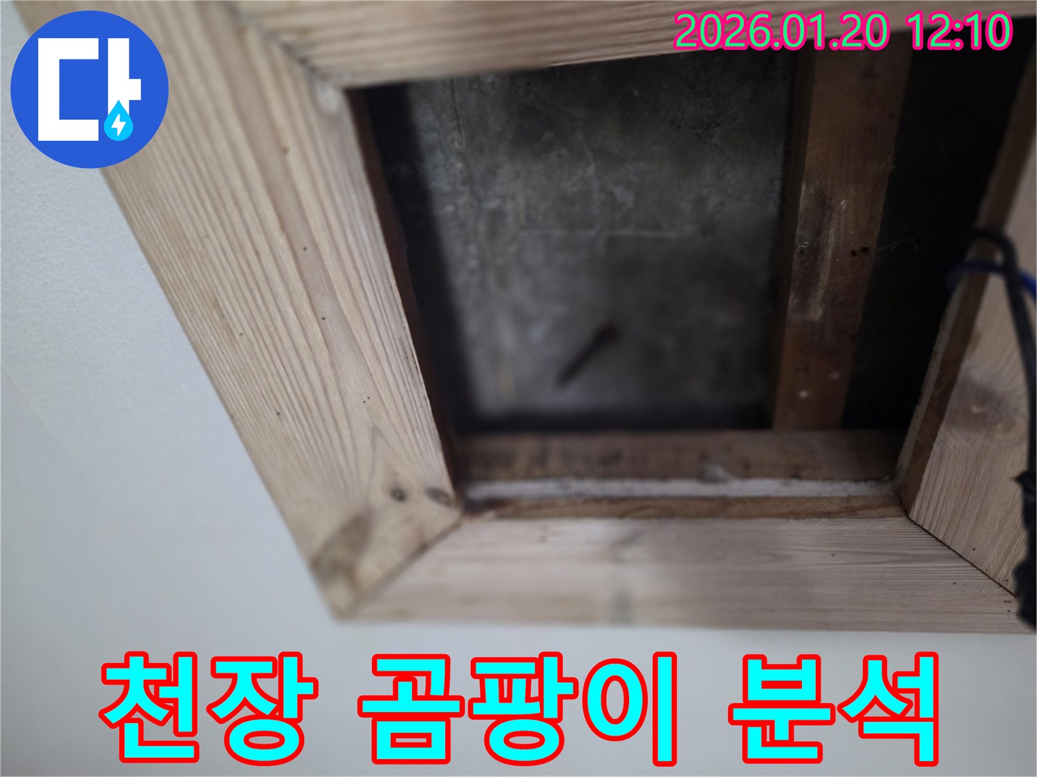 천장 곰팡이 - 누수 발생 지점 - 안산 상록구