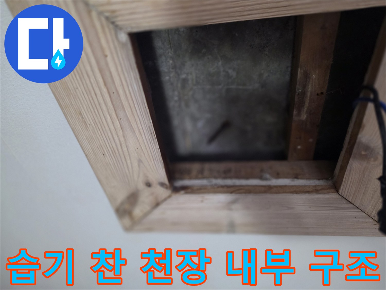 천장-목재-프레임-및-젖은-슬래브-모습